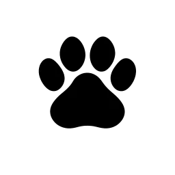 Dog Daycare