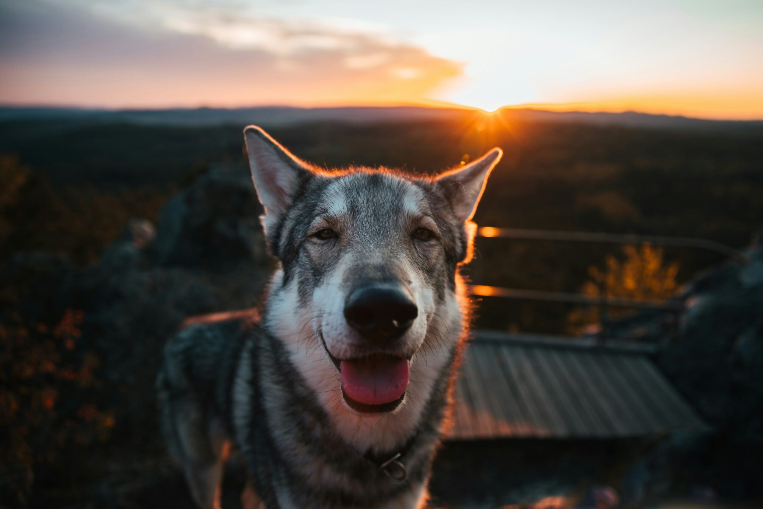 Hello world!